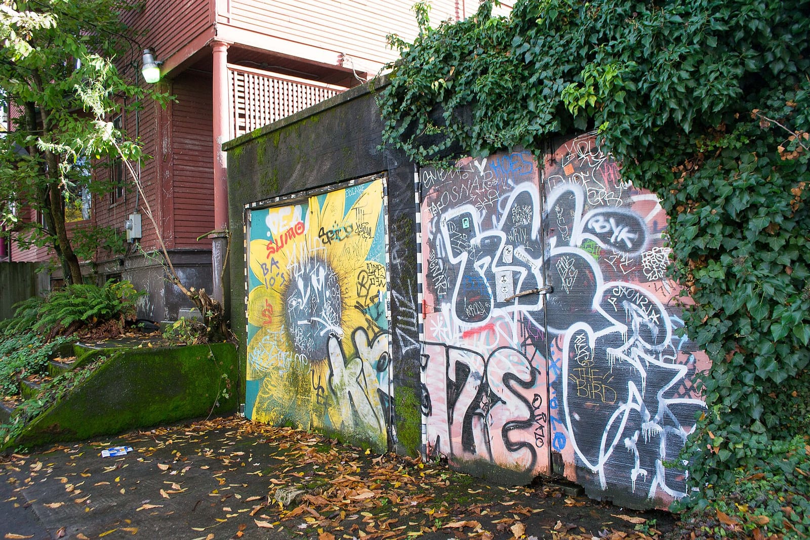 Rimsky-Korsakoffee House photo 2