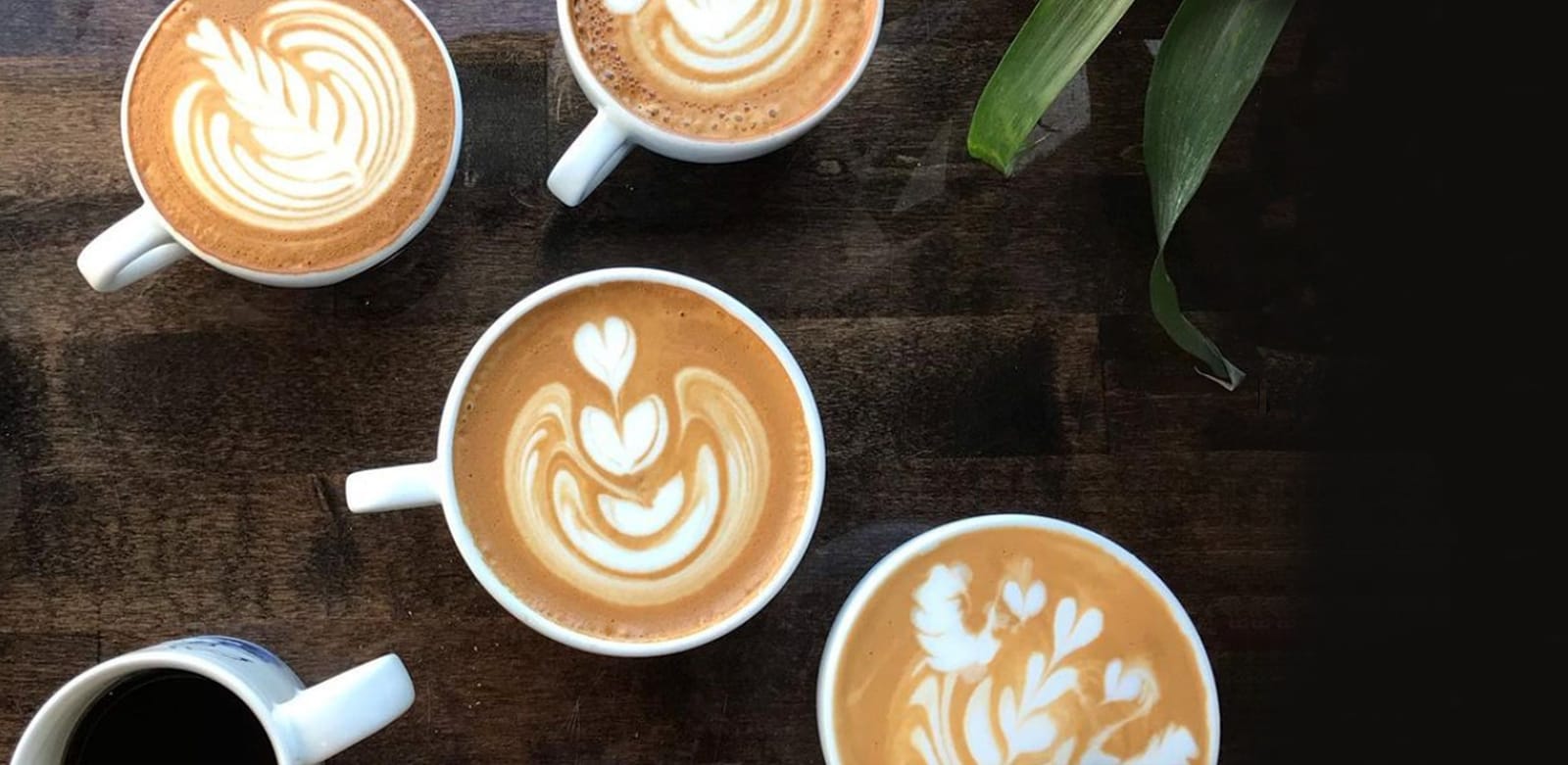 Convive Coffee Roastery photo 2