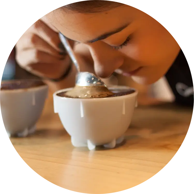 Honesto Café photo 6