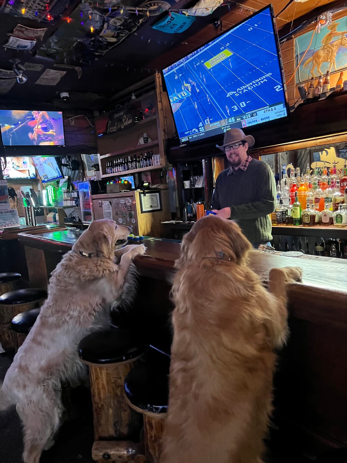 Colorado Mountain Dog Bistro