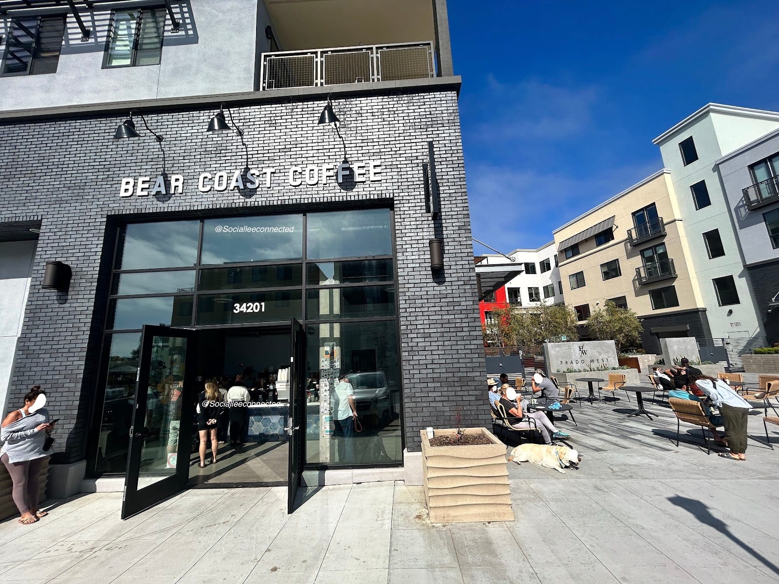 Bear Coast Coffee