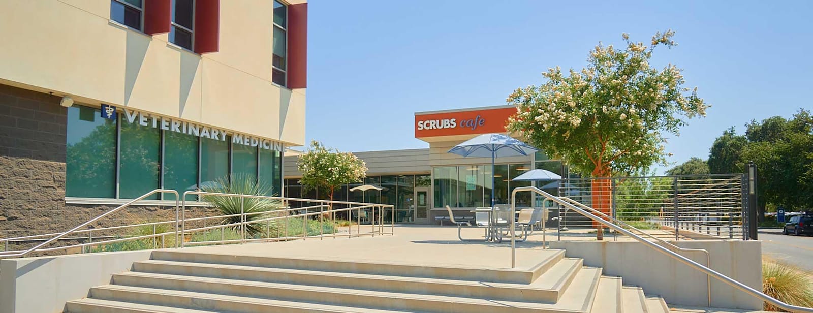 Scrubs Cafe photo 2