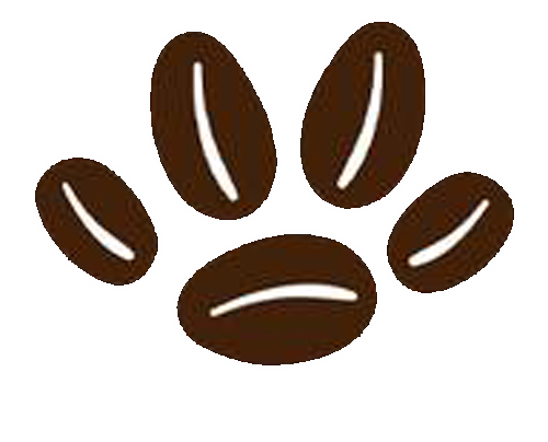 DeLand Cat Cafe photo 4