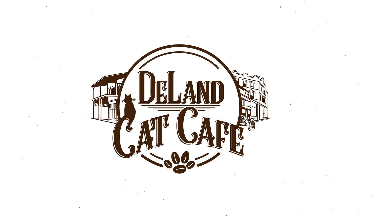 DeLand Cat Cafe photo 3