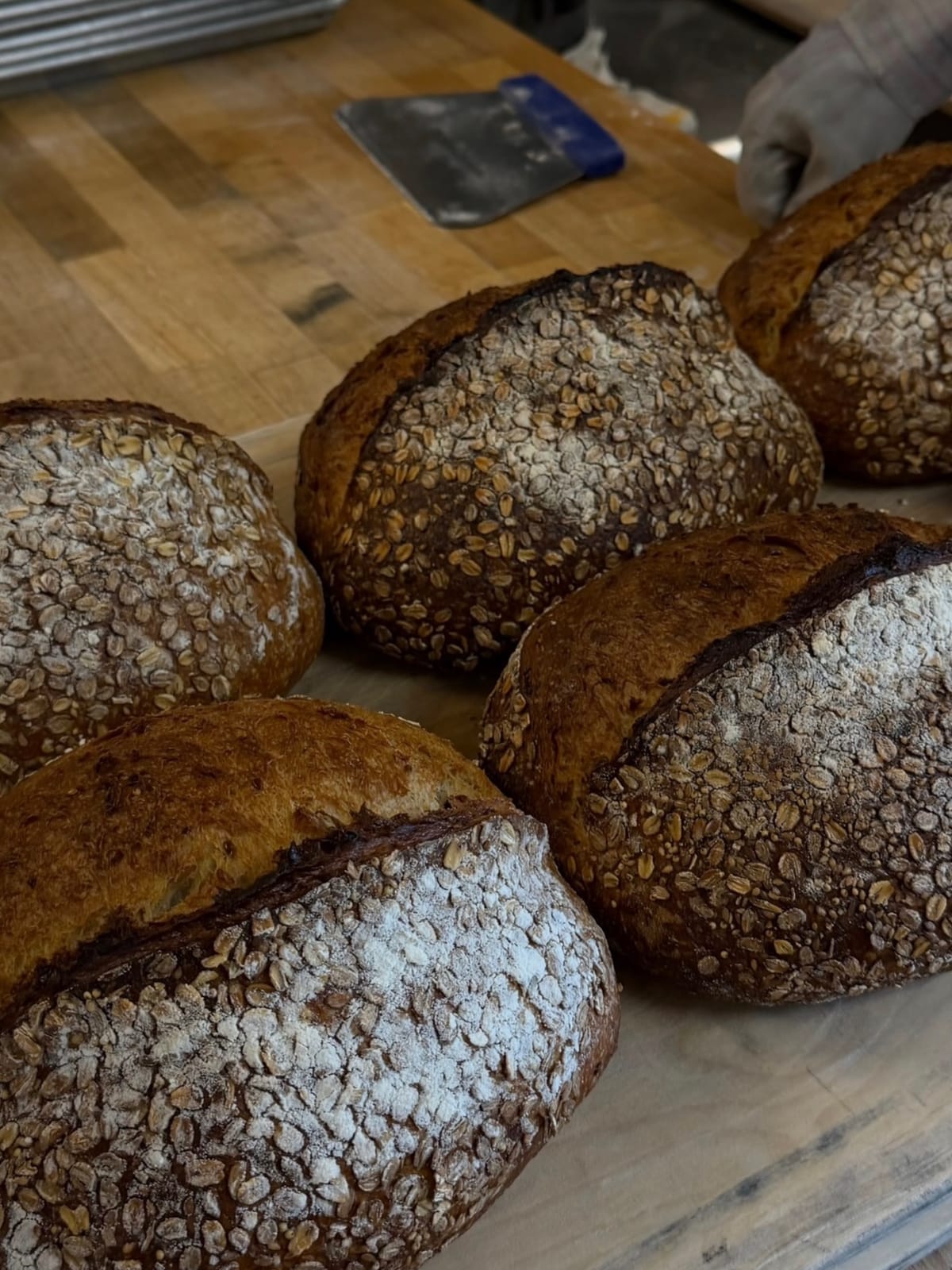 The French Bakery photo 8