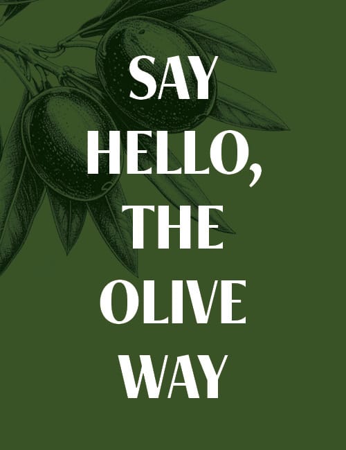 The Olive Brunch Restaurant and Cafe - Niles photo 5