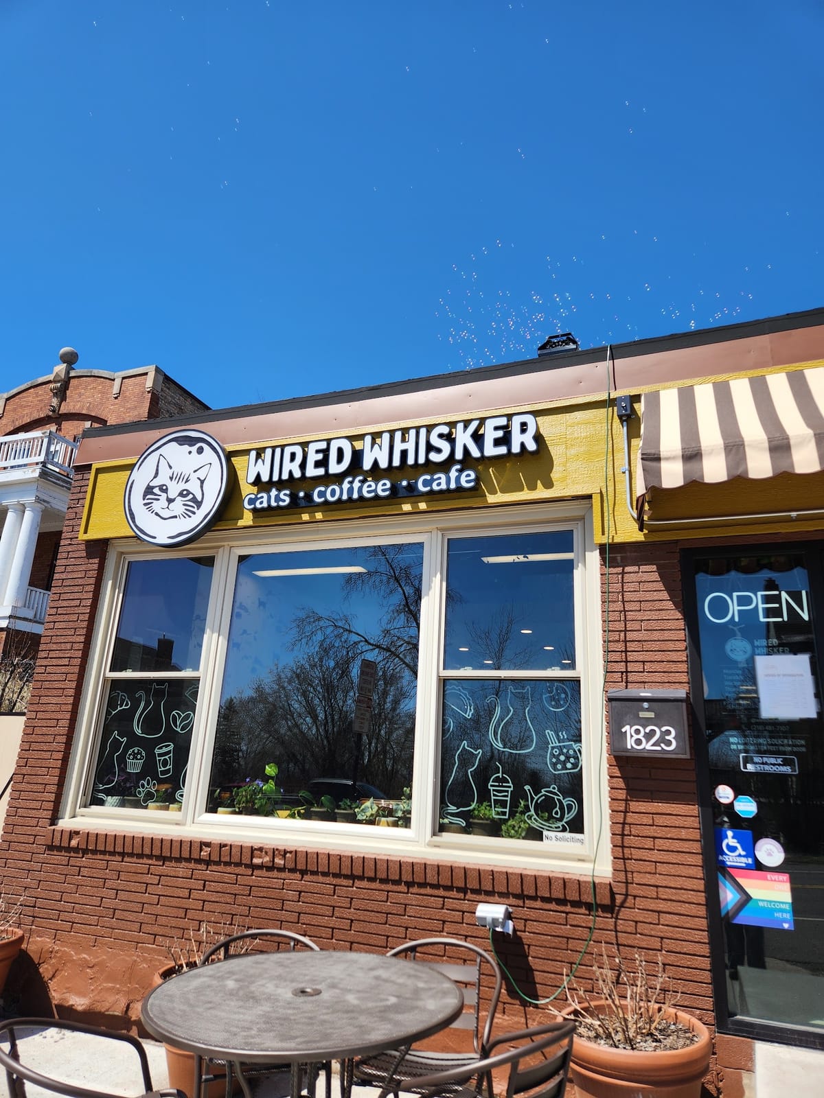 Wired Whisker