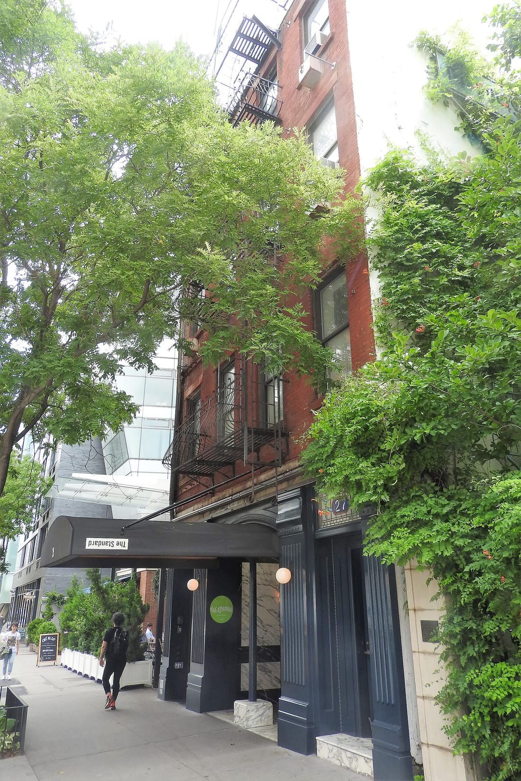 Café Standard photo 3