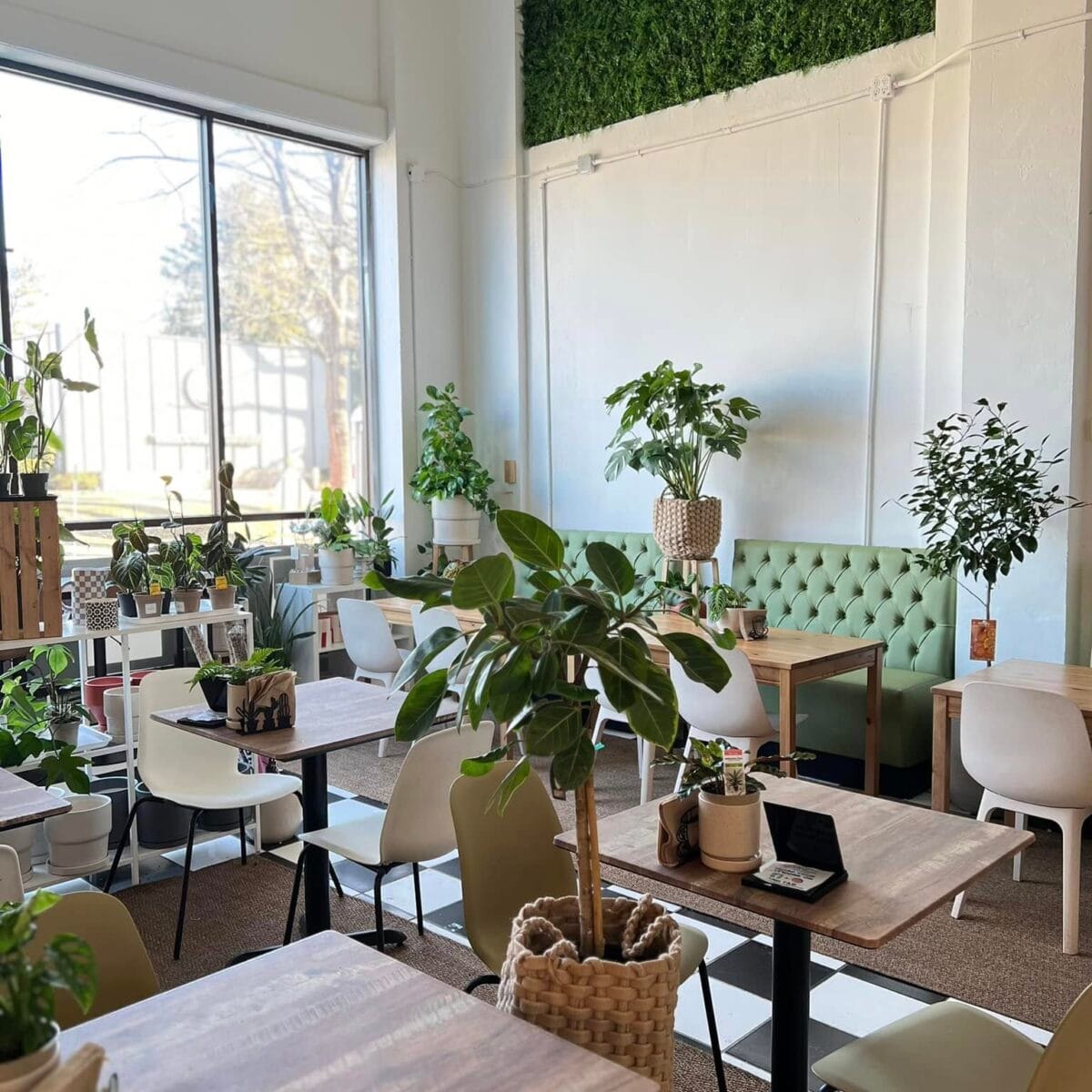 Plants + Coffee photo 6
