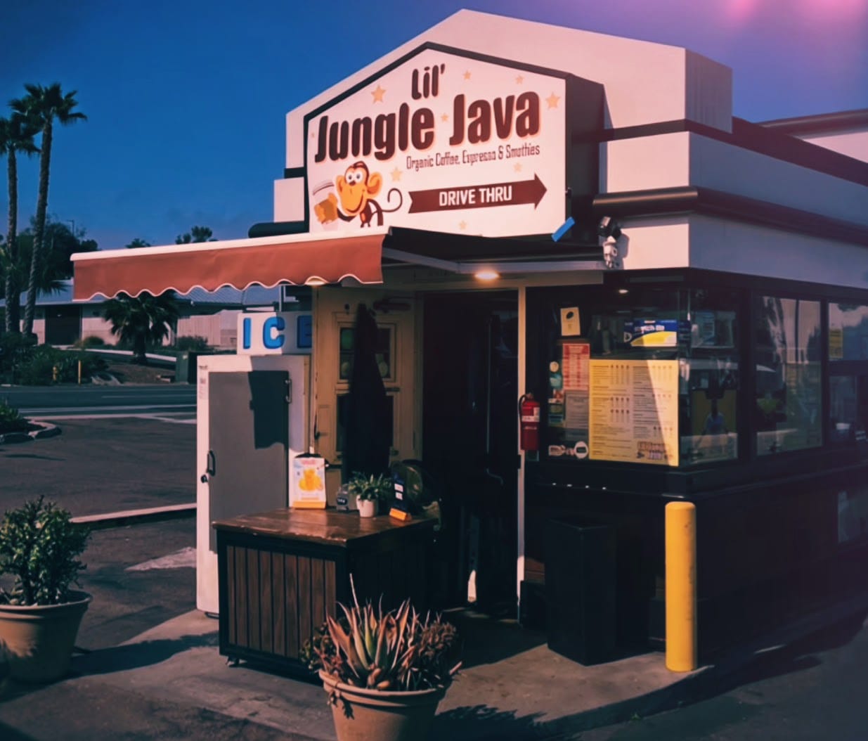 Lil Jungle Java