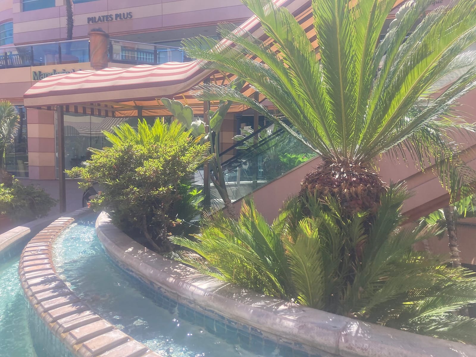 The Coffee Bean & Tea Leaf photo 4