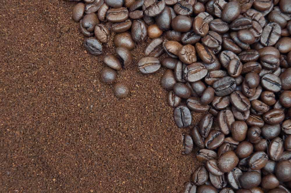 Poverty Bay Coffee Roasters photo 2