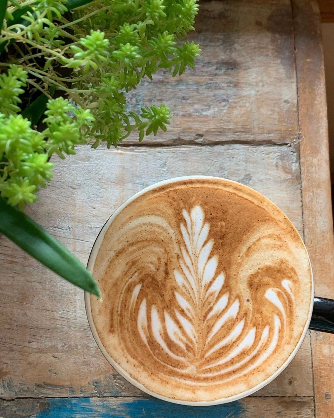 Geist Coffee Company photo 6