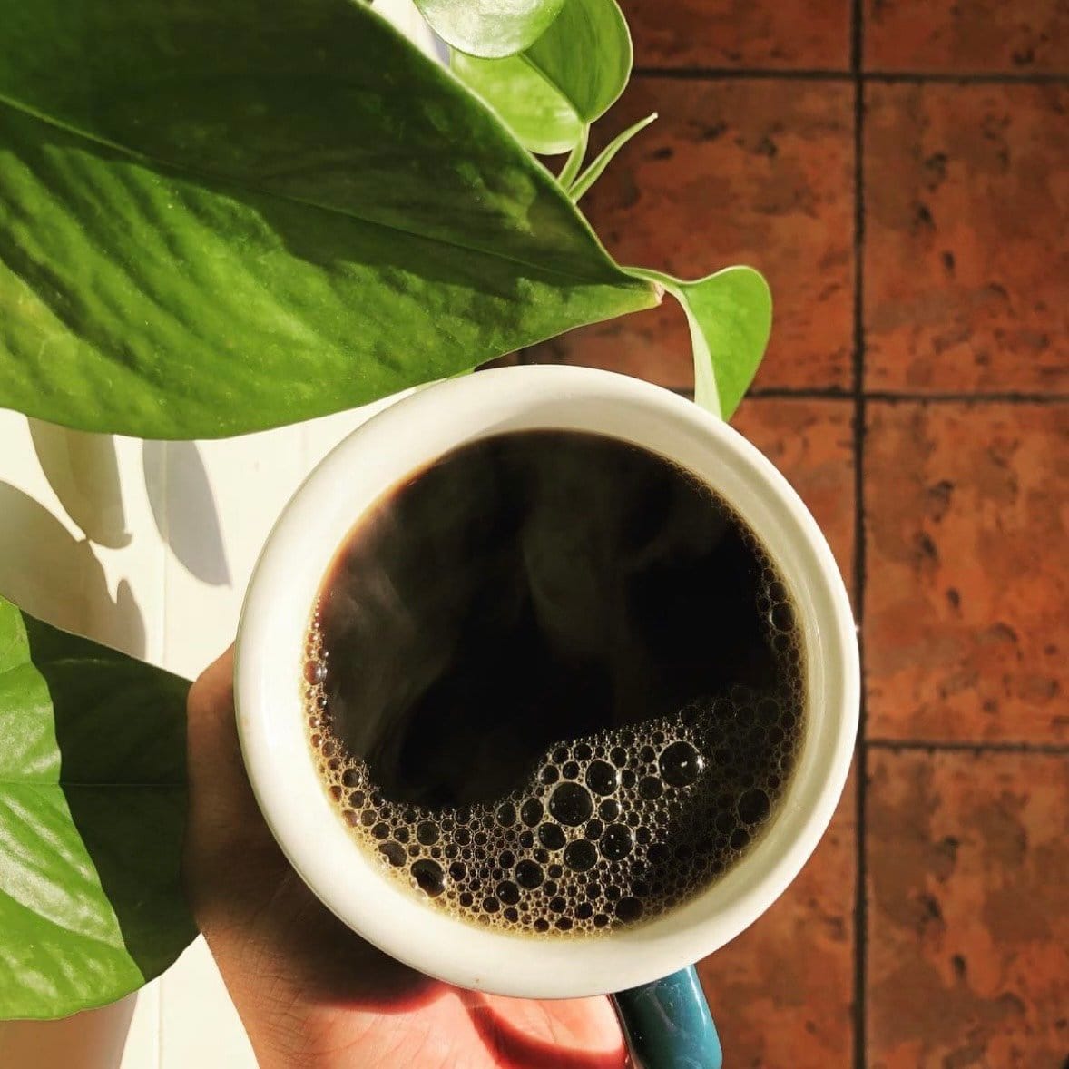 Geist Coffee Company photo 4