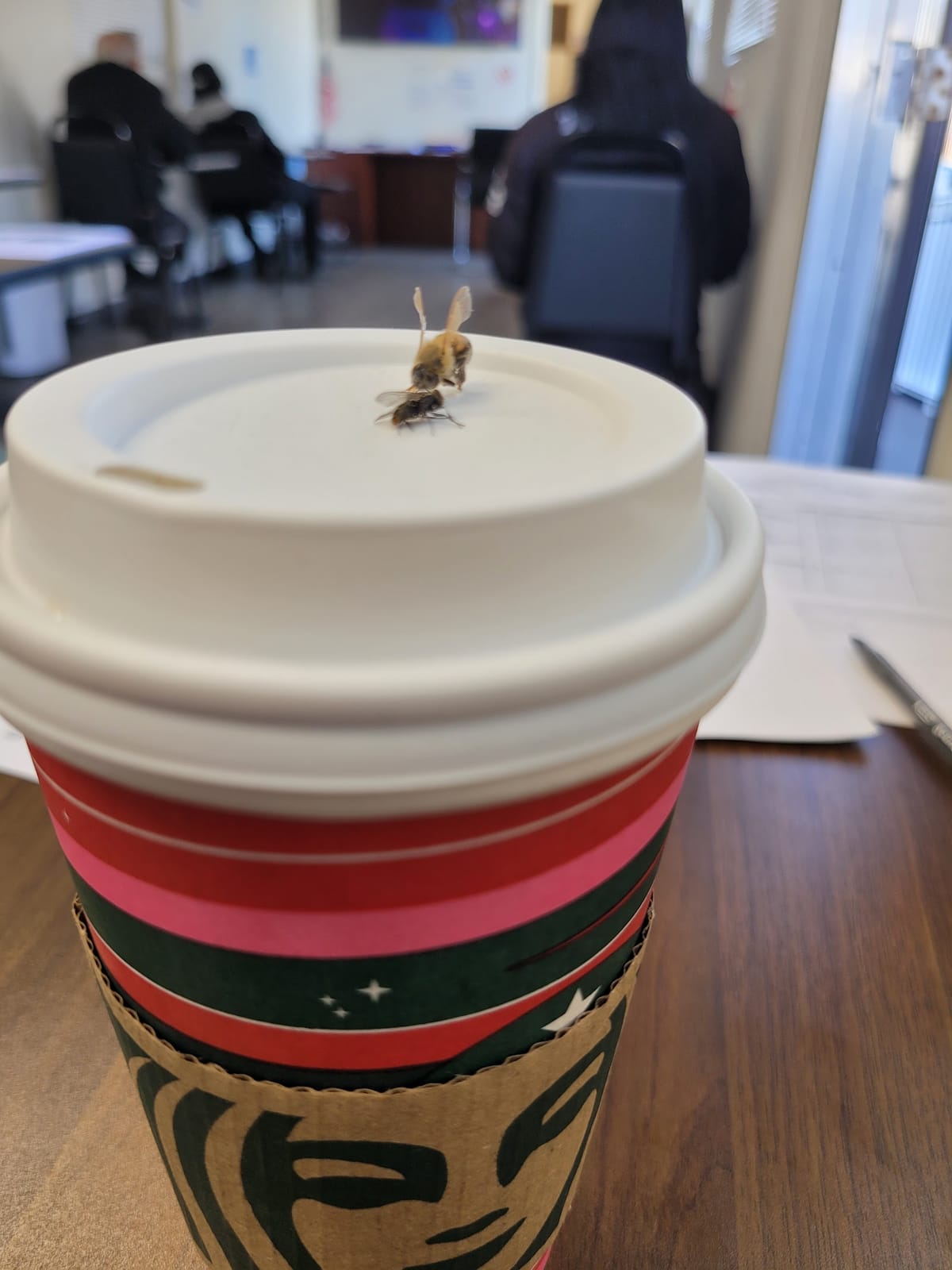 Starbucks Coffee Company