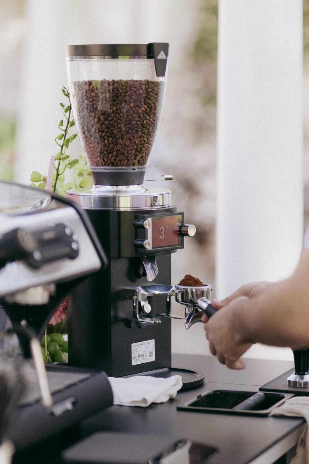 Holy Coffee photo 6