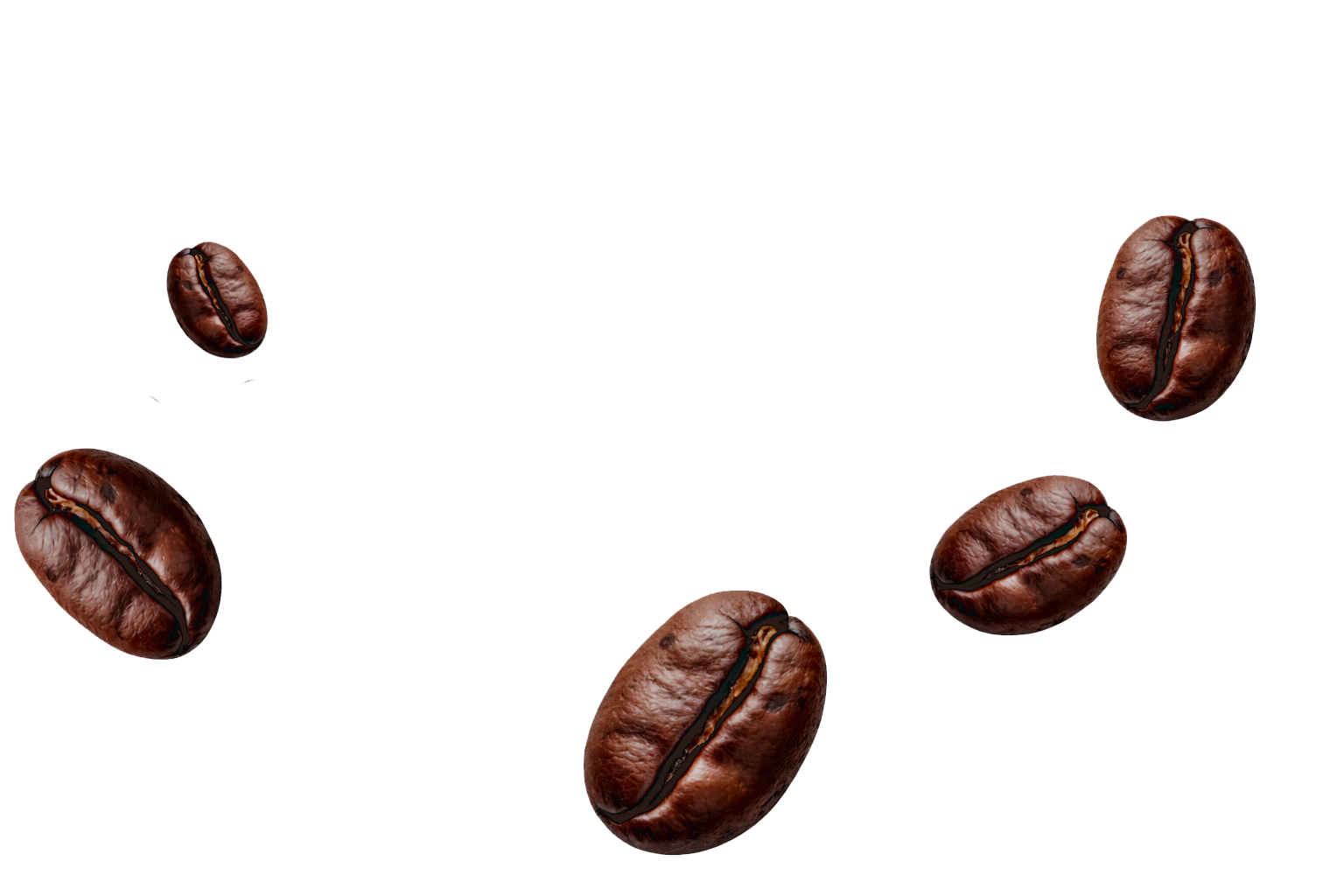 Bilqis Coffee photo 8