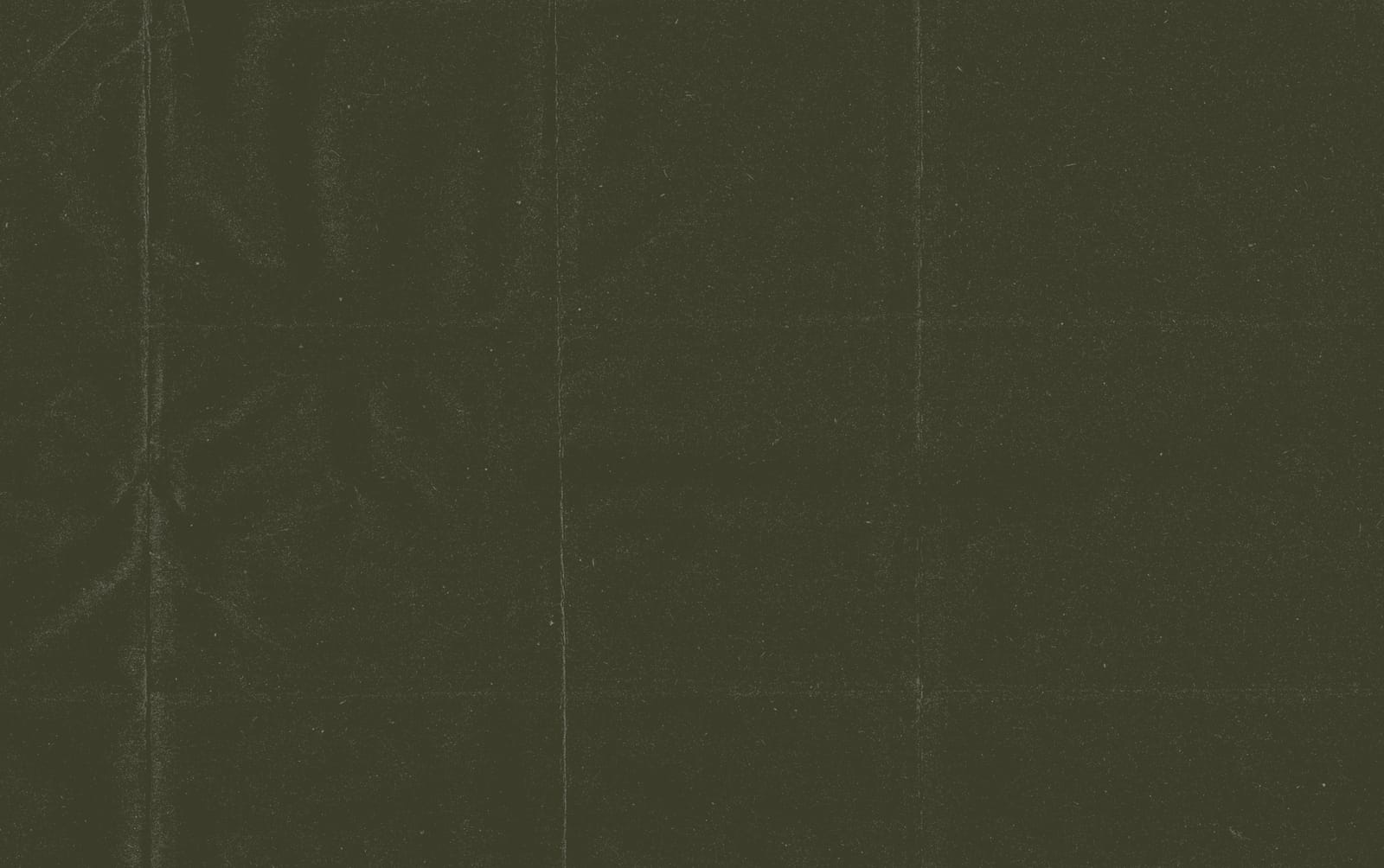 SGT Coffee Co. photo 3