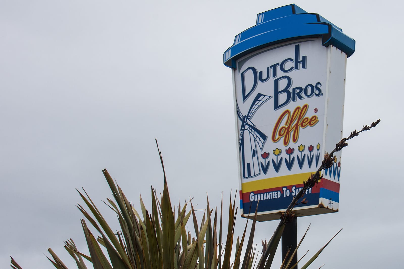 Dutch Bros. Coffee