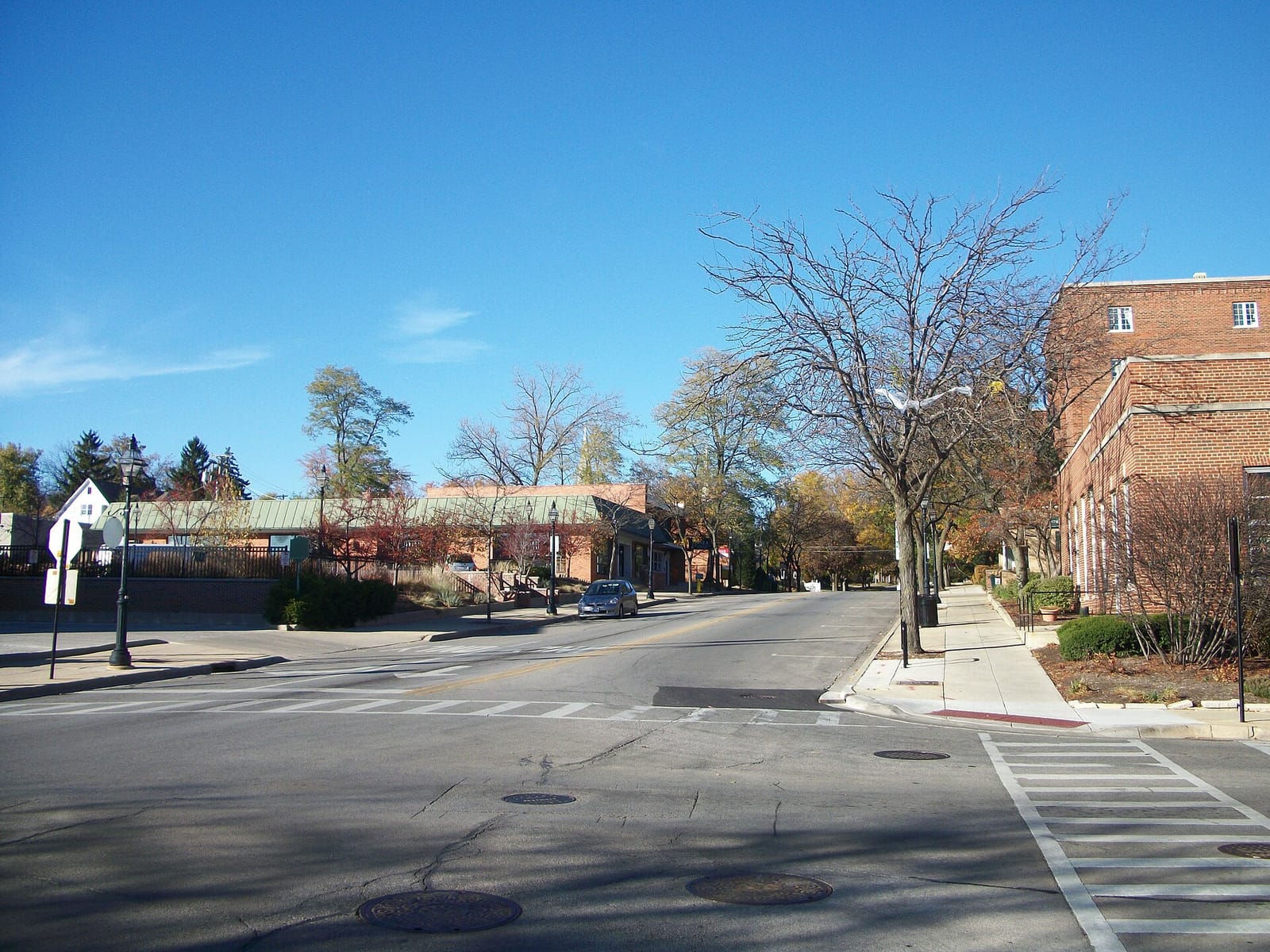 Elitea Glen Ellyn photo 2