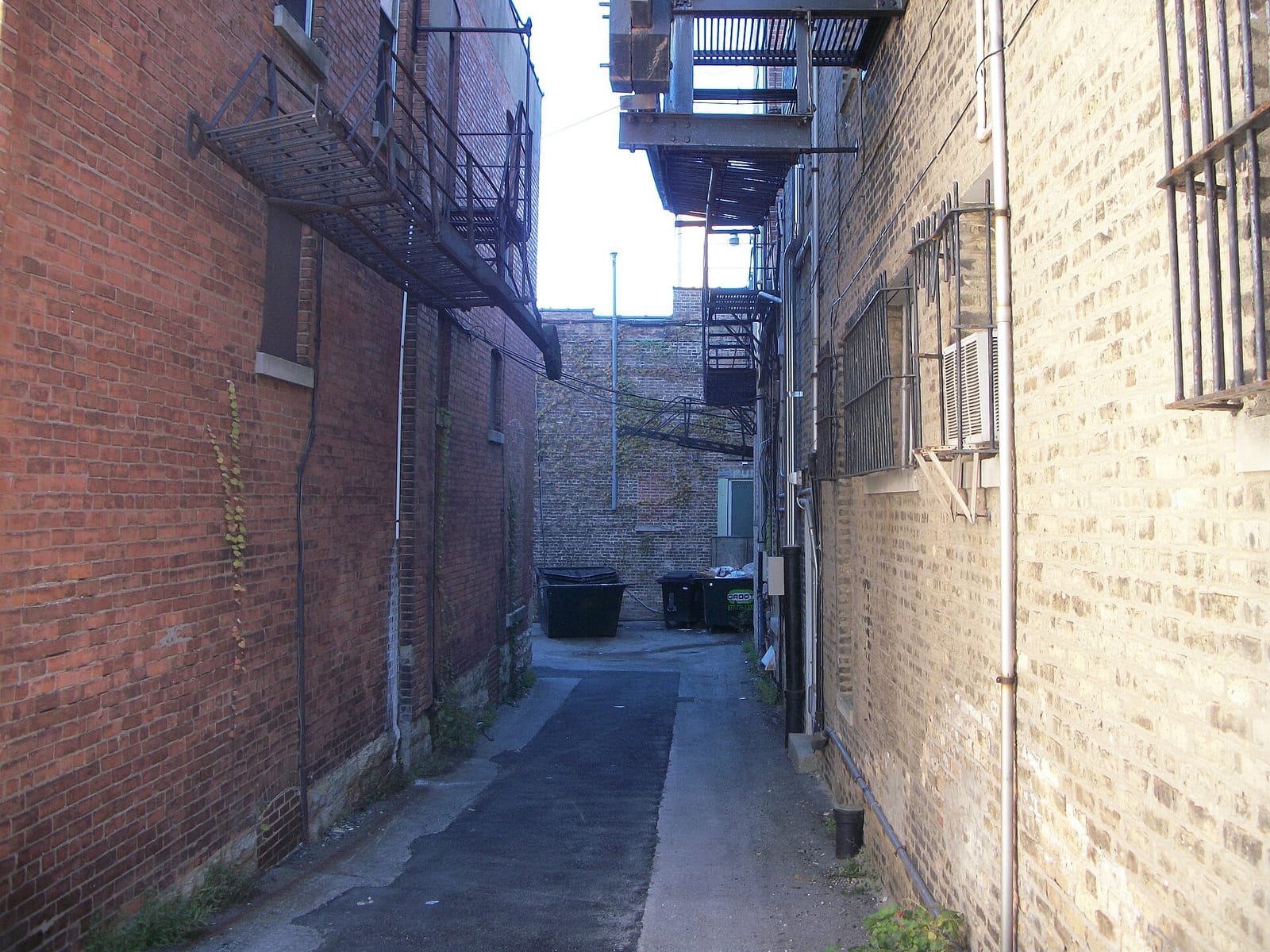Elitea Glen Ellyn photo 3