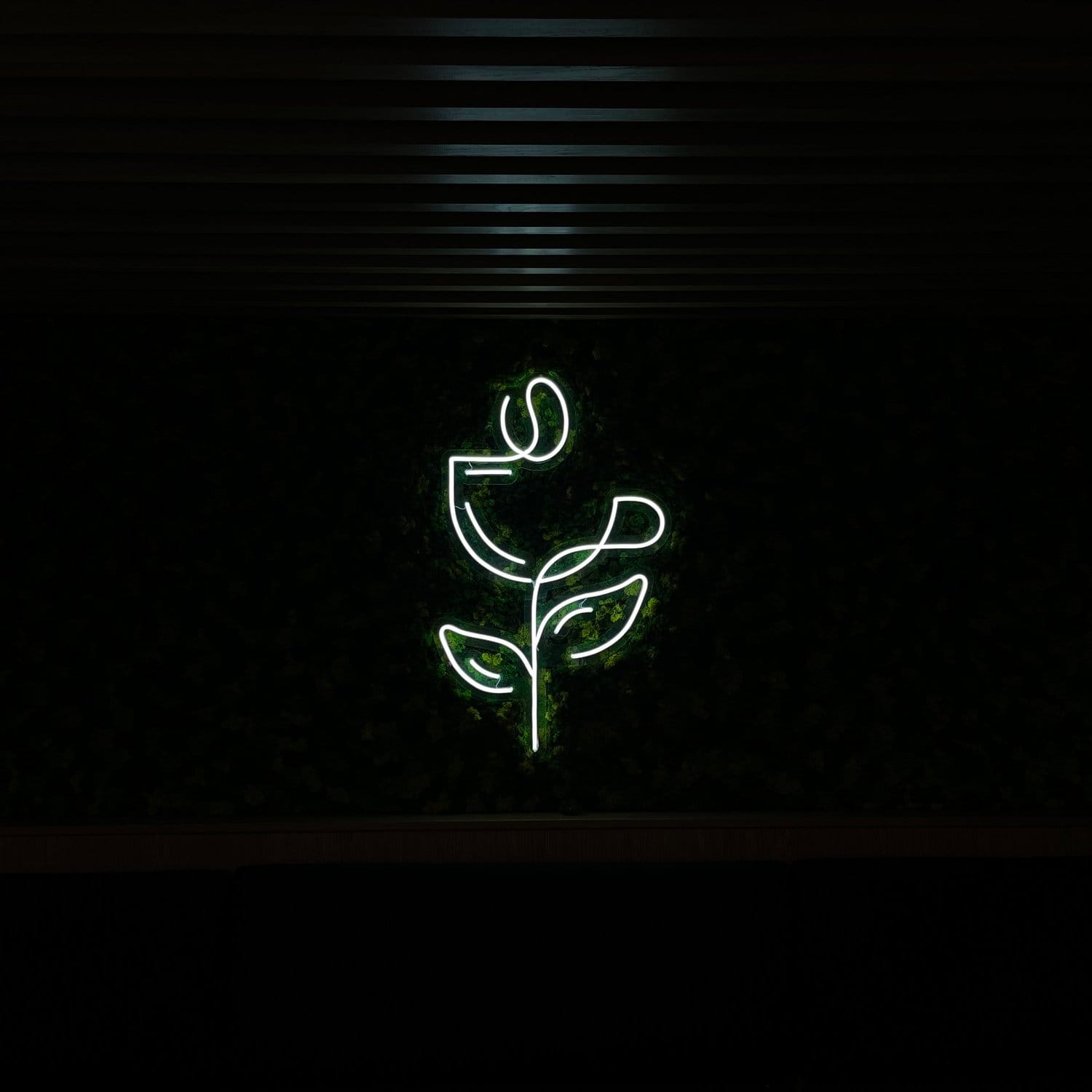 KOZY Coffee photo 2