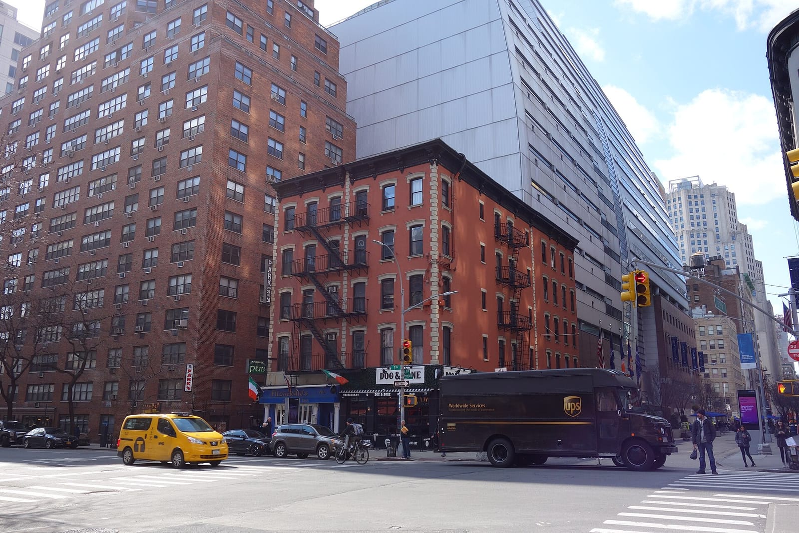 Sunflower Gramercy photo 2
