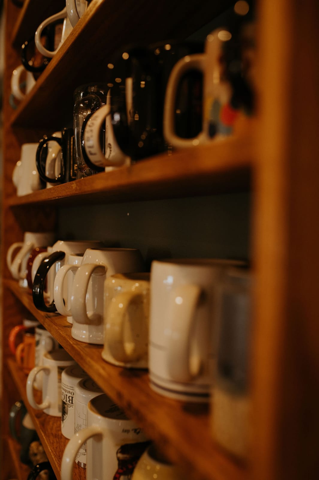 Morning Light Coffee Roasters