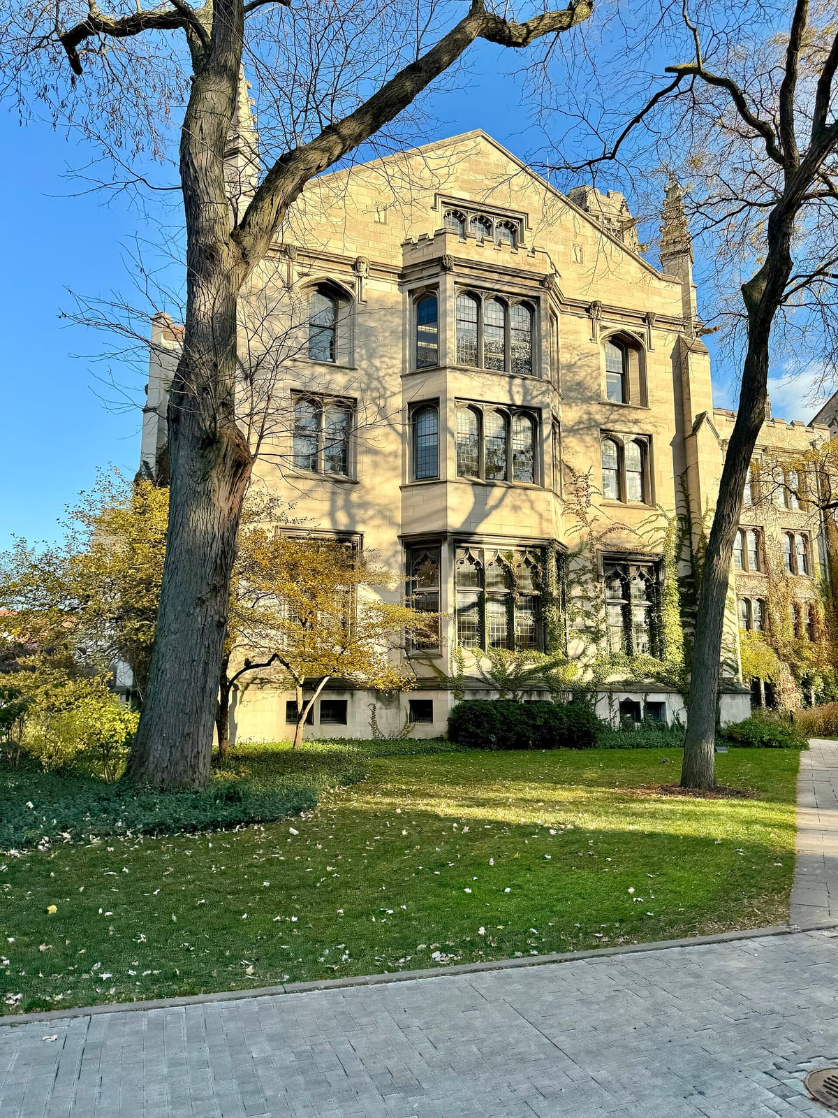 Grounds of Being: The Divinity School Coffee Shop photo 3