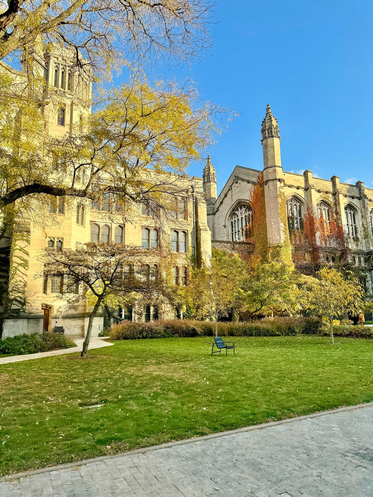 Grounds of Being: The Divinity School Coffee Shop photo 2