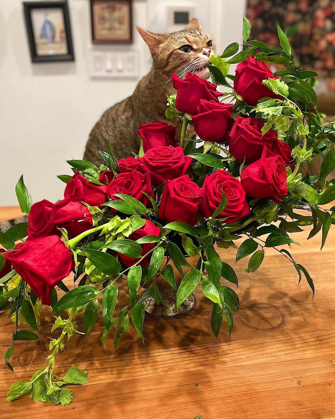 Flower Cat