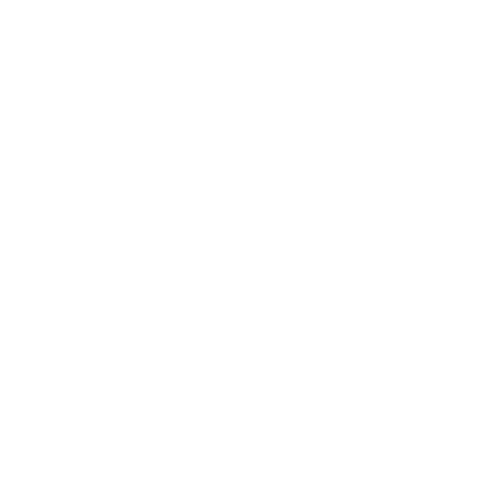 Plant Roots Local photo 2