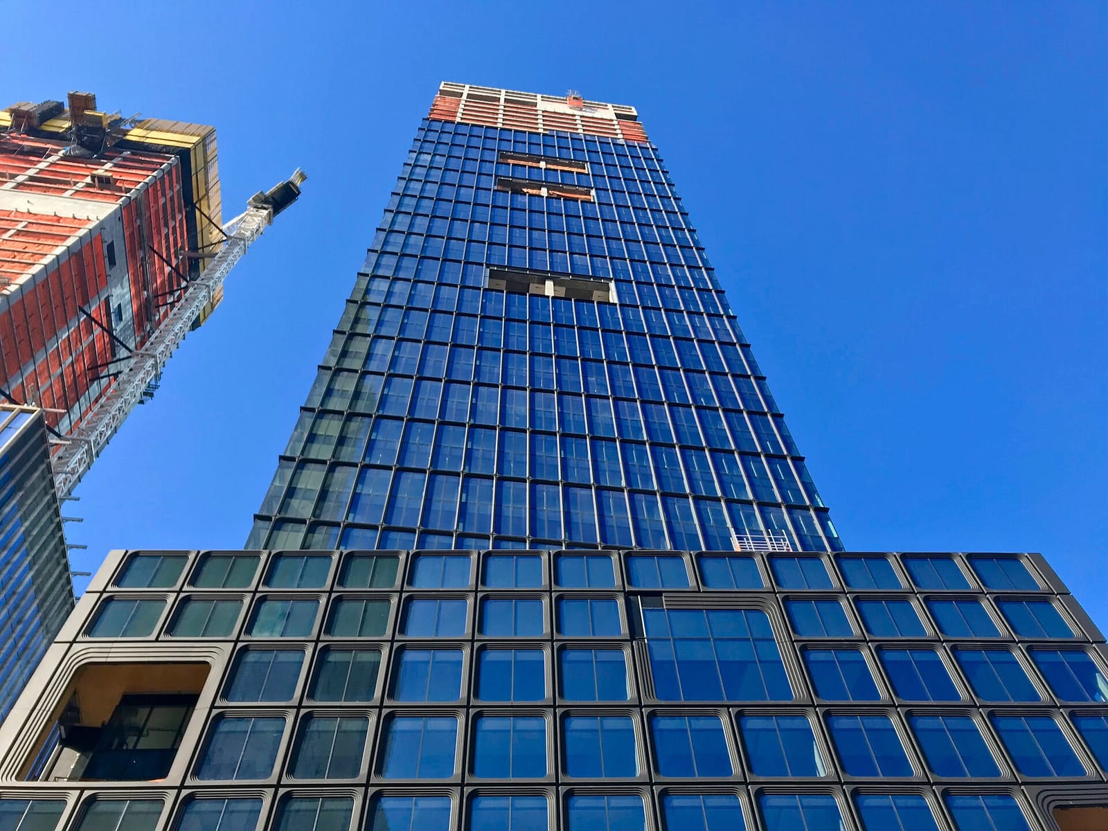 Bluestone Lane 55 Hudson Yards Café photo 5