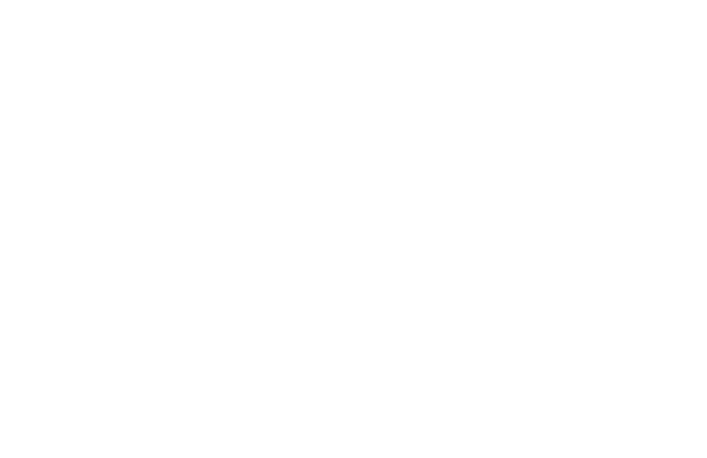 Mojo Coffee Company