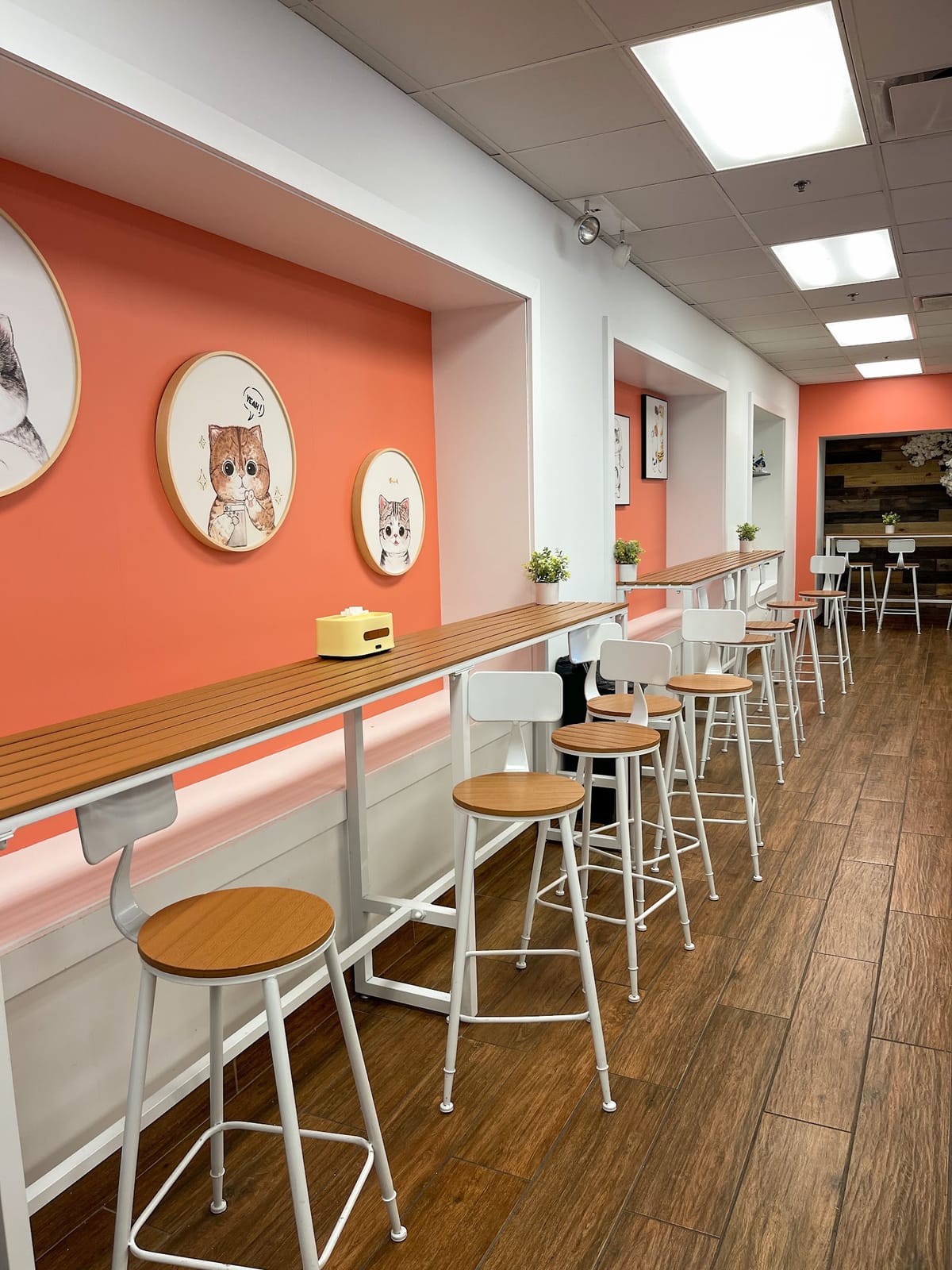 MOMO Cafe