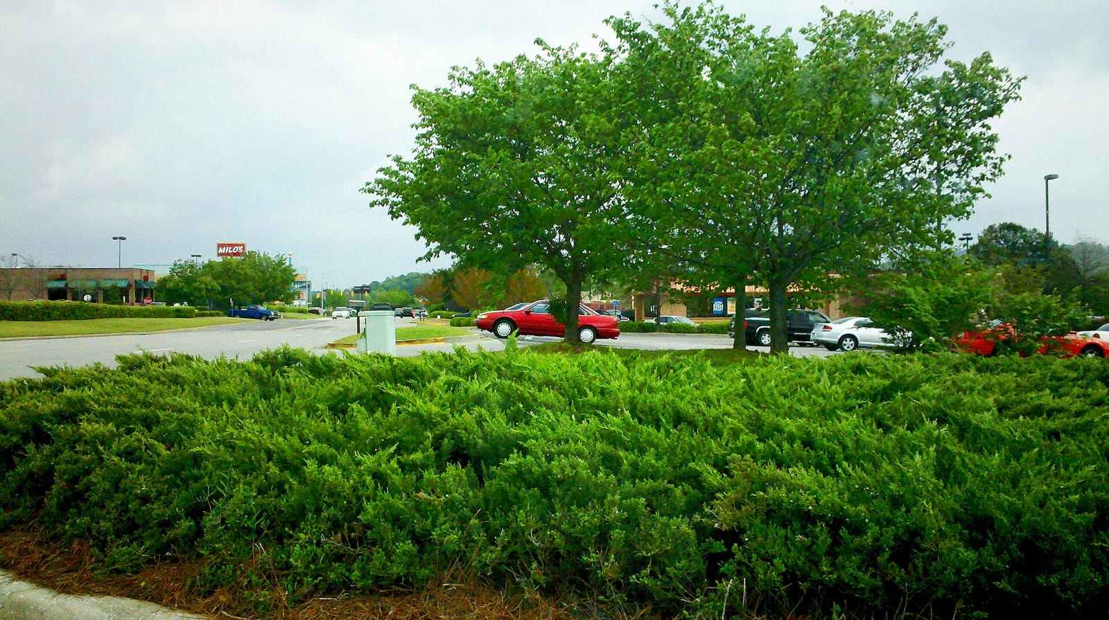 Tropical Smoothie Cafe photo 2
