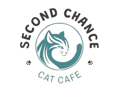 Second Chance Cat Cafe photo 2