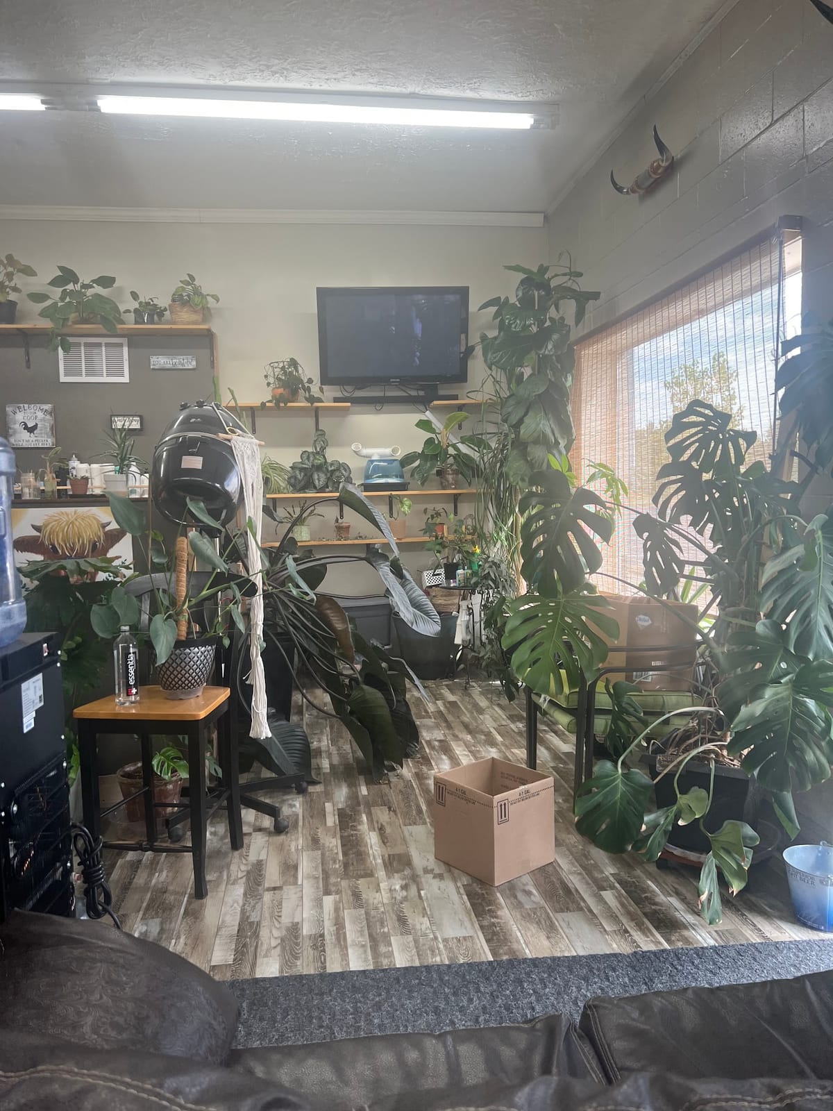 The Hair Cafe