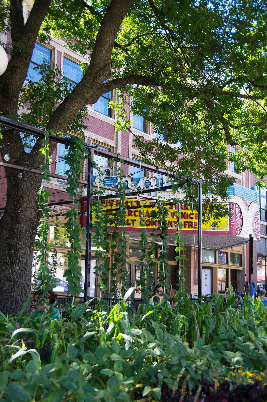 Java House Coffee Roasters - Downtown photo 10