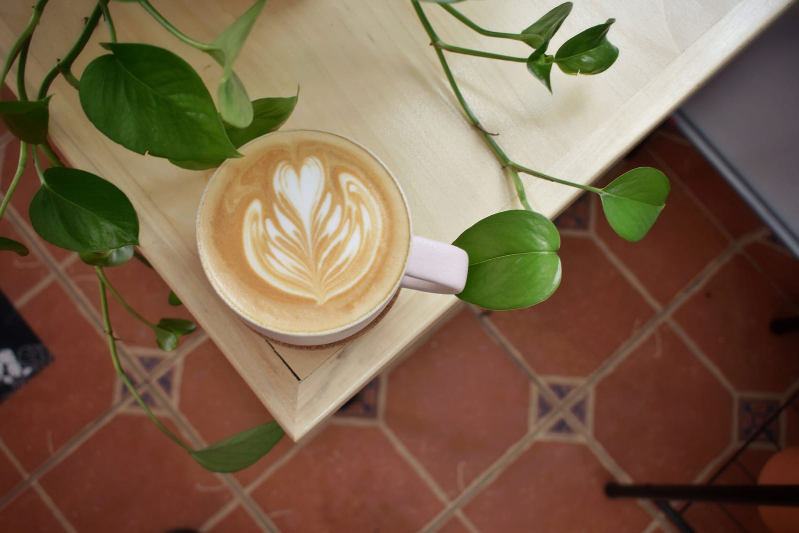 Botanist Coffeehouse photo 6