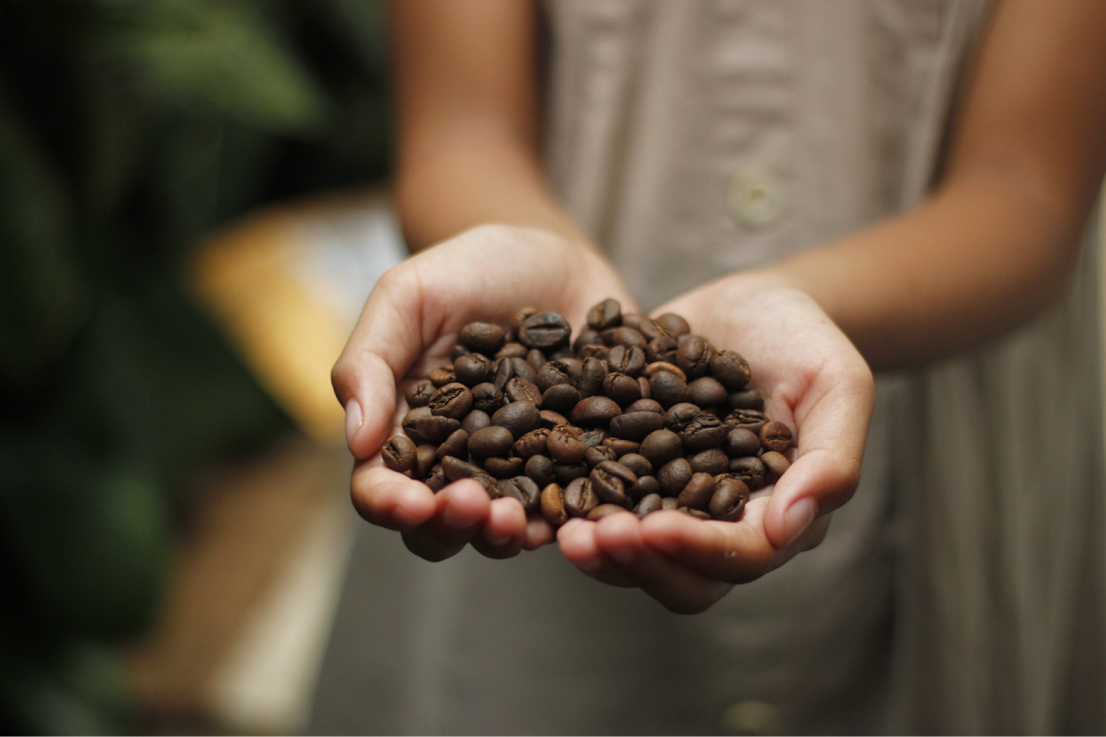 Every Tribe Coffee photo 3