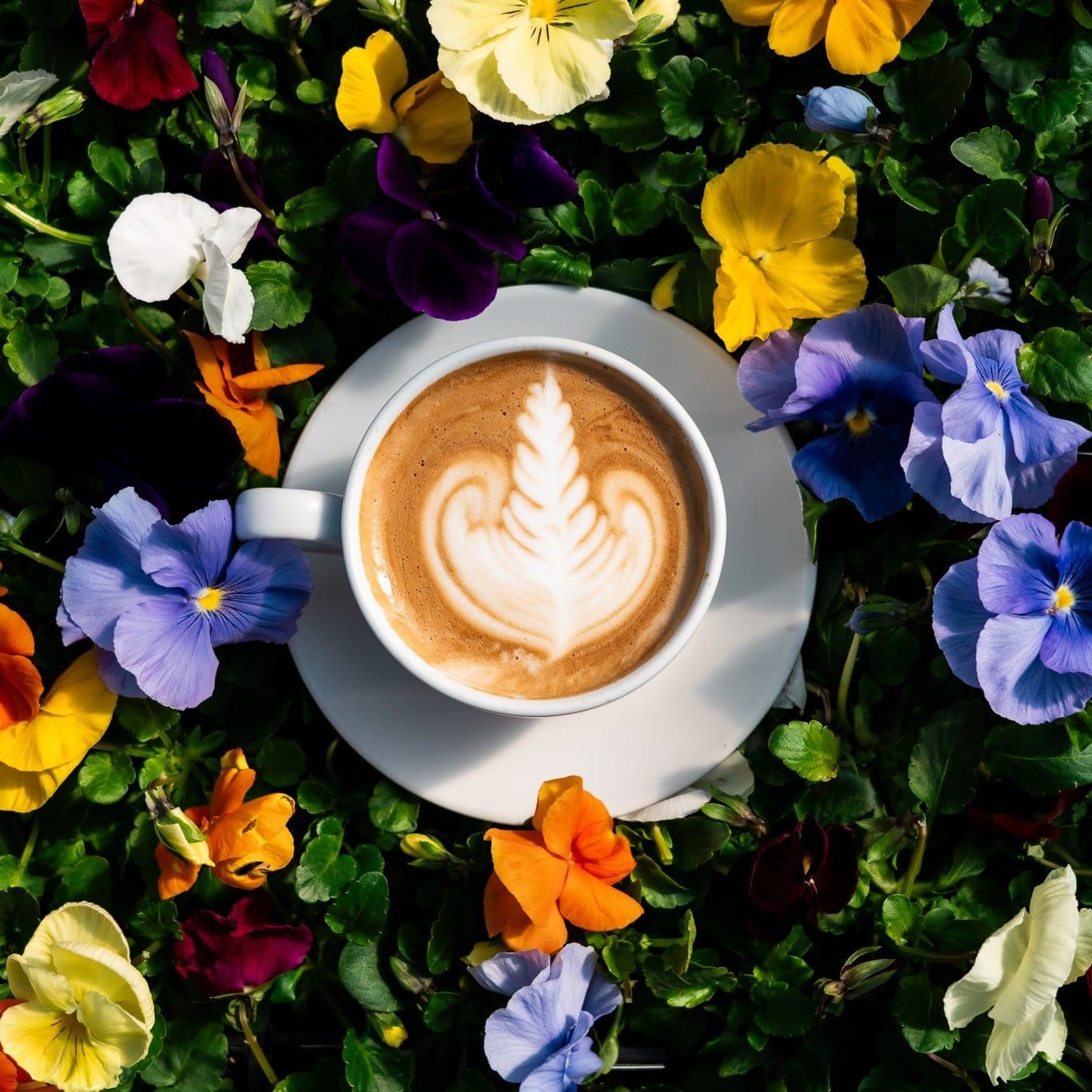 Joplin Greenhouse & The Coffee Shop