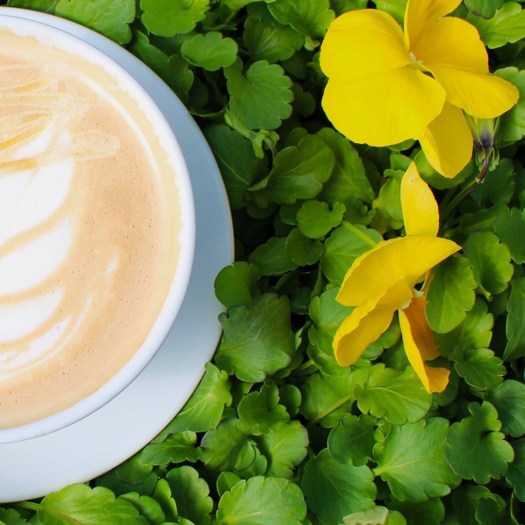 Joplin Greenhouse & The Coffee Shop photo 6