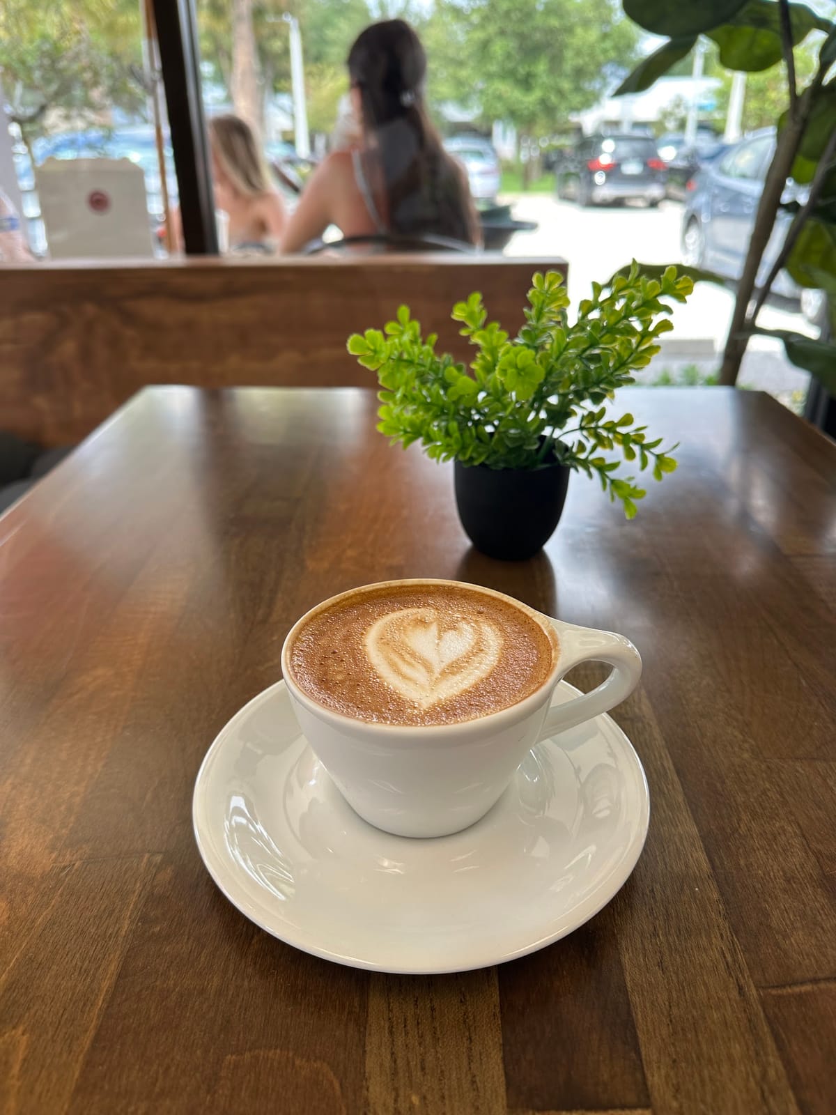 the seed. Coffee + Juice Bar