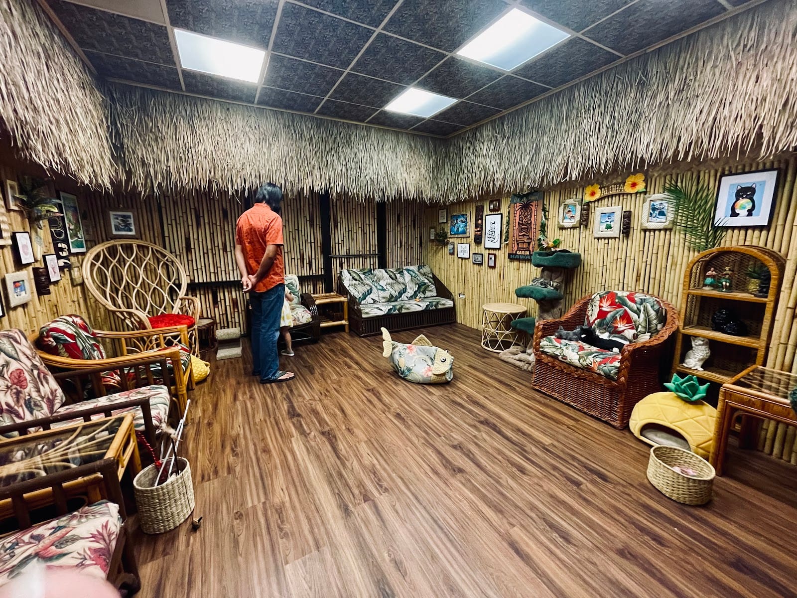 Aloha Kitty Cafe