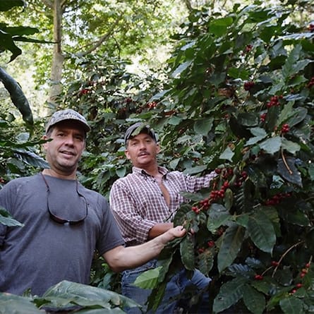 Garden Coffee Co. Roastery photo 8