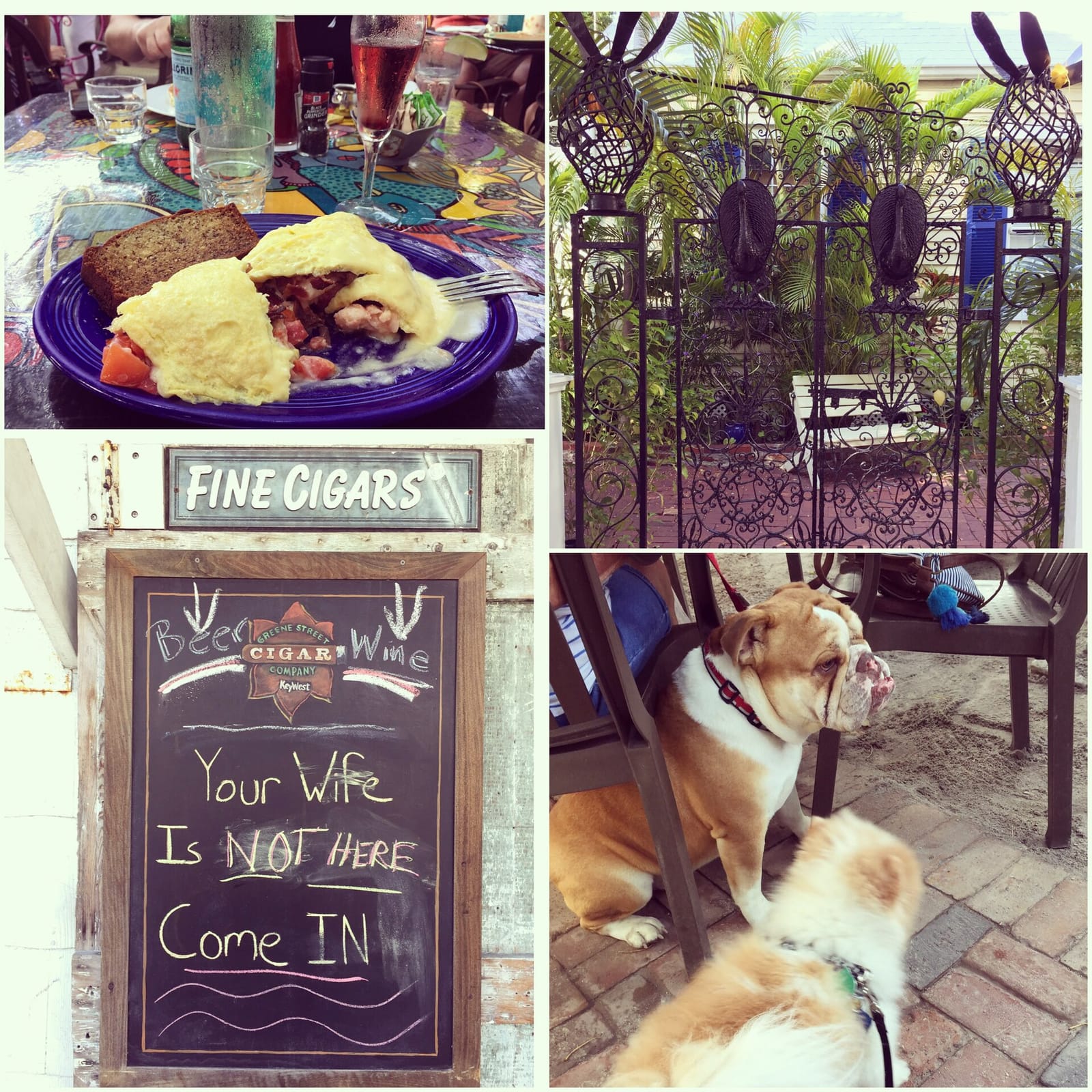 Sugar Apple Organic Cafe & Market