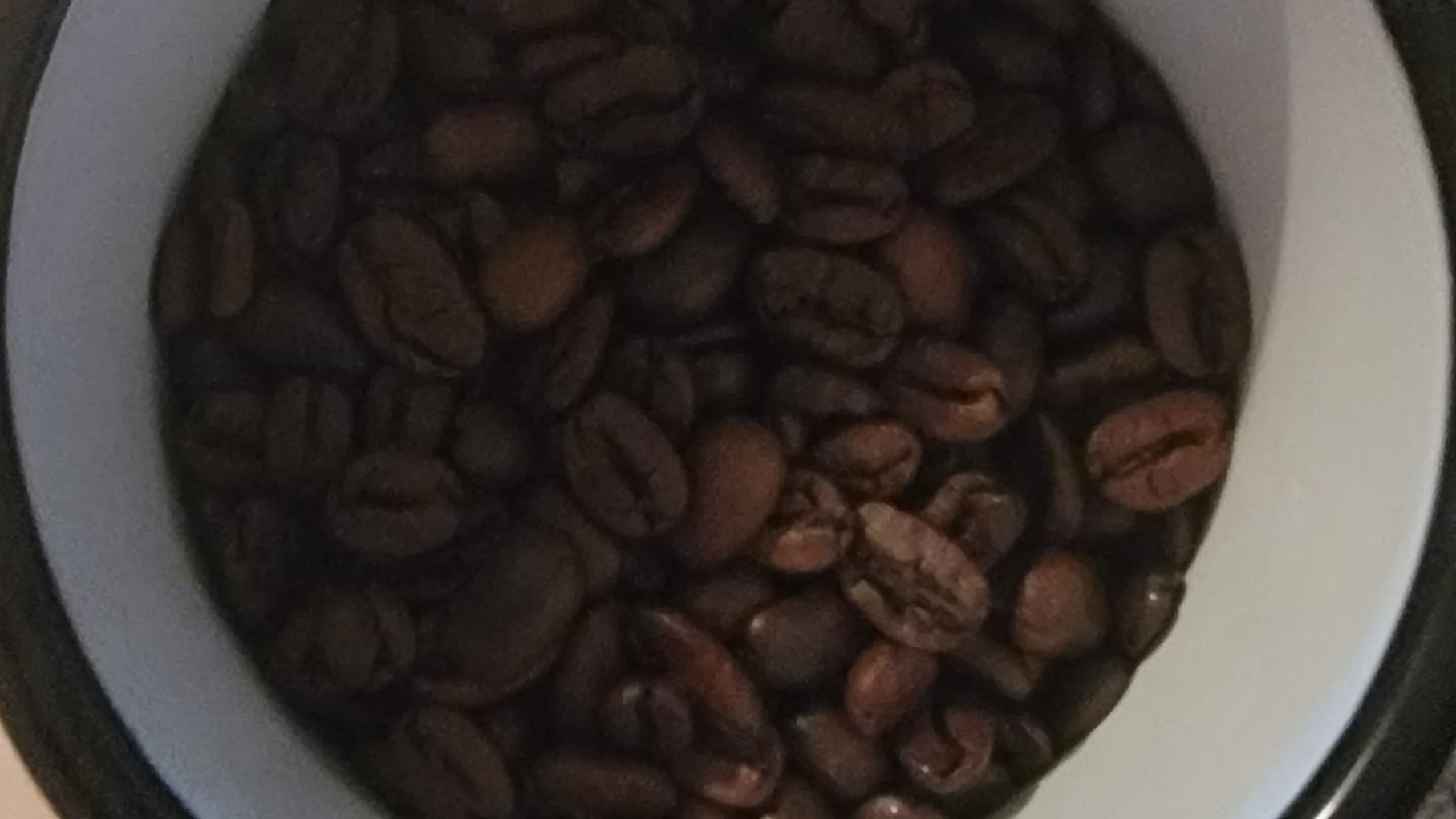 SoTex Coffee Roasters