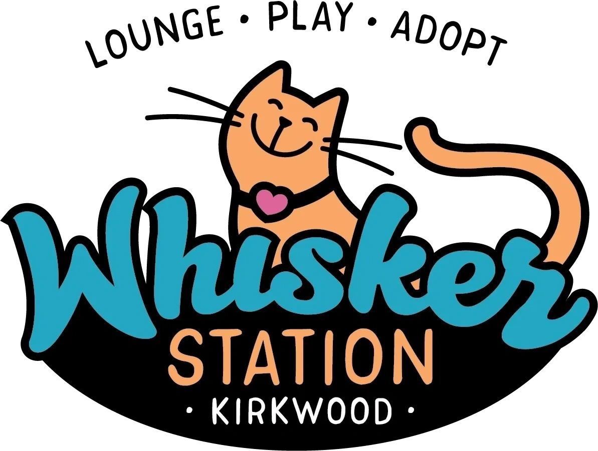 Whisker Station Cat Cafe and Lounge