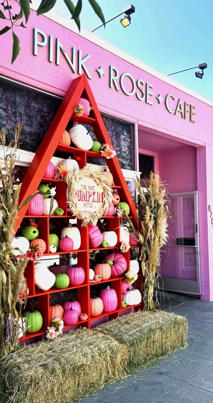 Pink Rose Cafe photo 2
